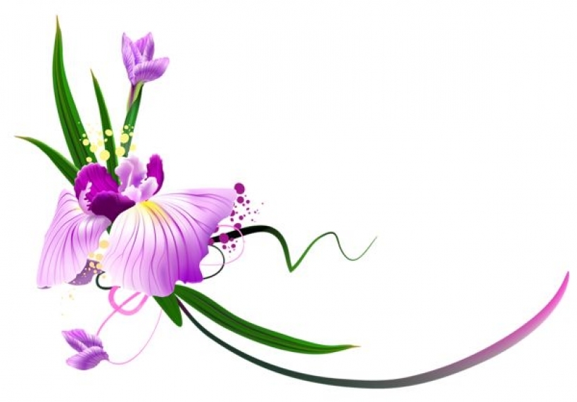 820x571 Purple Clipart Divider