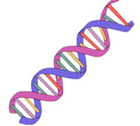 Dna Clipart | Free download on ClipArtMag