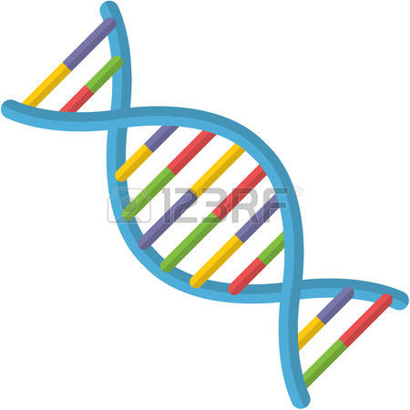 450x450 Dna Clipart