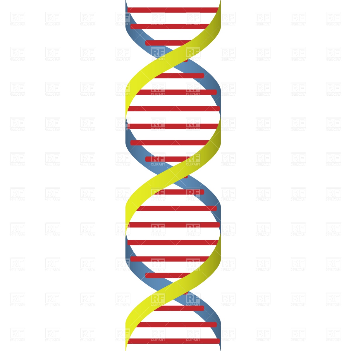 1200x1200 Dna Strand Royalty Free Vector Clip Art Image