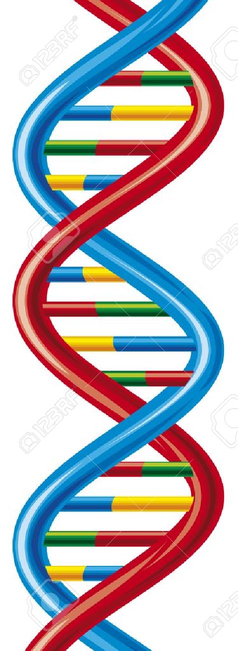 476x1300 Bio Clipart Biology Dna