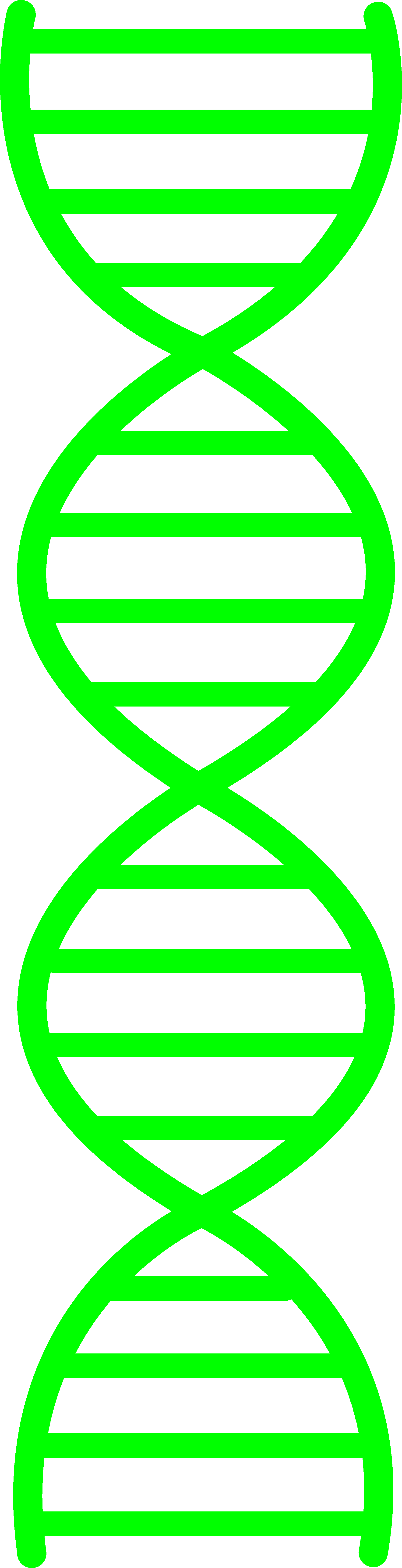 1722x6709 Green Dna Design
