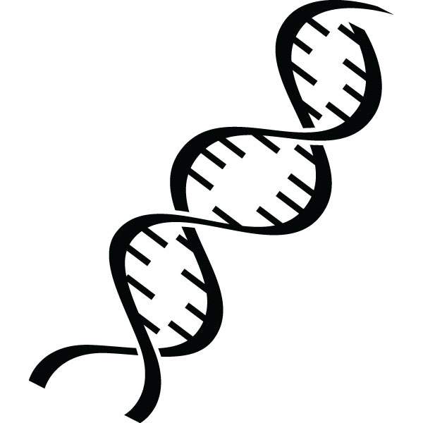 600x600 Medical Double Helix Dna Clip Art For Custom Products