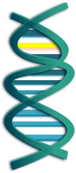 264x600 Modified Dna Clip Art