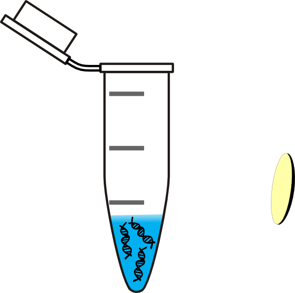 600x596 Tube Dna Water Clip Art