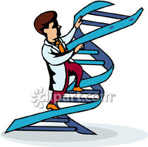 300x298 Clipart For Dna