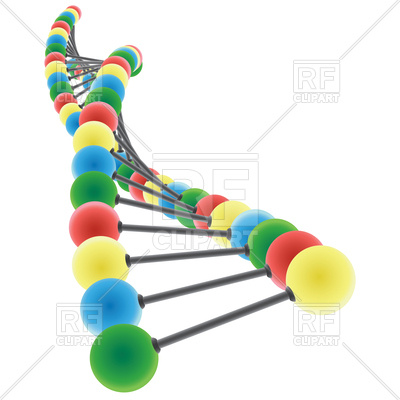 400x400 Dna Model In Perspective View Royalty Free Vector Clip Art Image