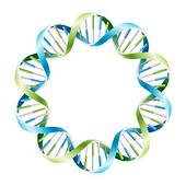 170x170 Dna Clip Art