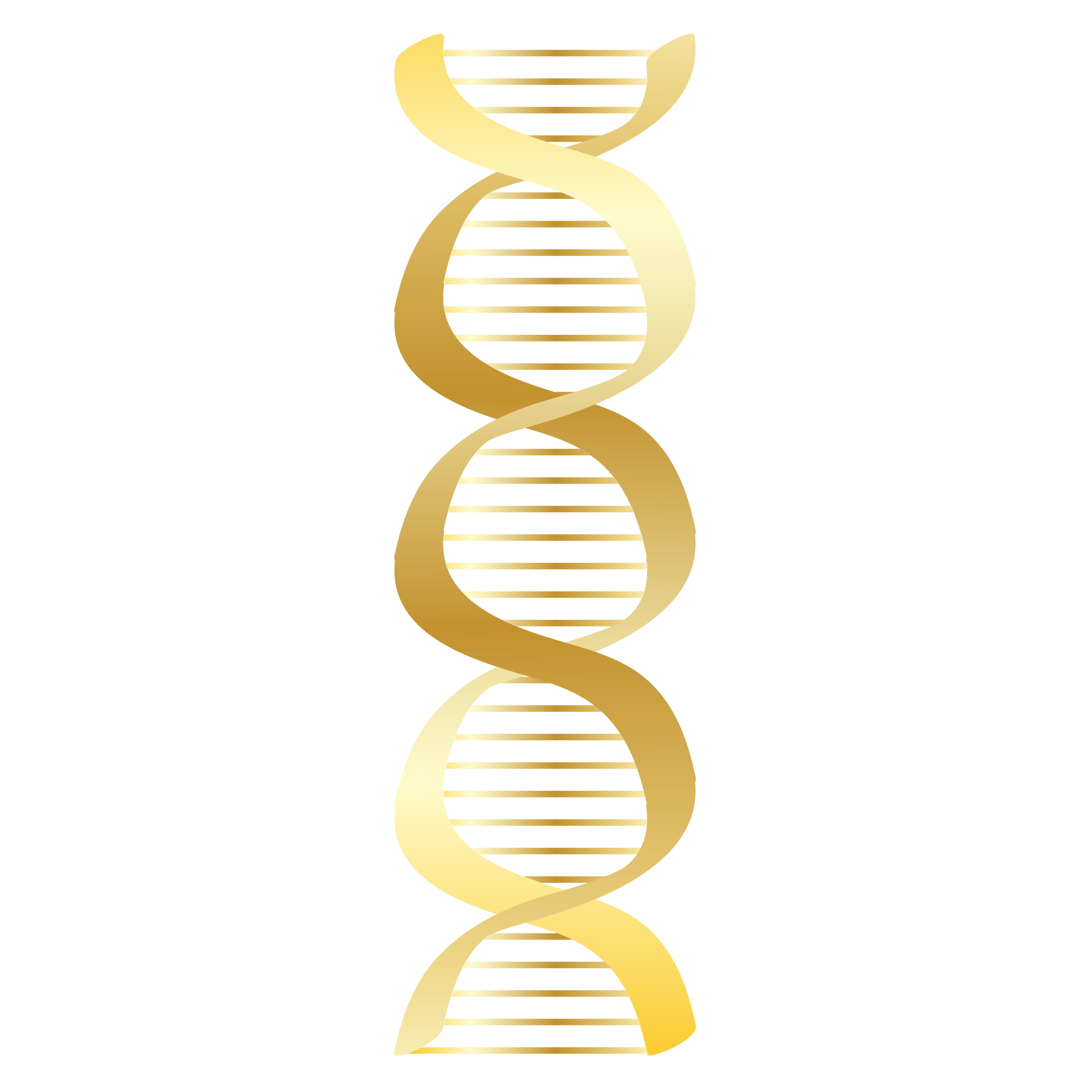 2400x2400 Dna Clip Art Free Clipart Images 6