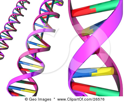 450x358 Bio Clipart Biology Dna