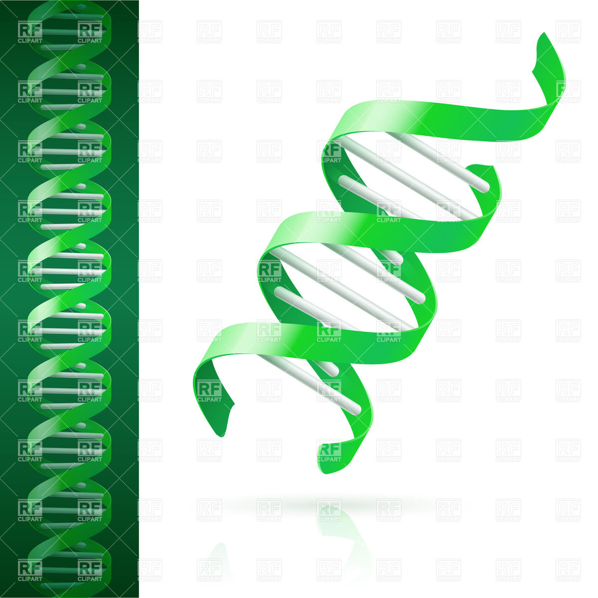 1200x1200 Green Dna Background Royalty Free Vector Clip Art Image