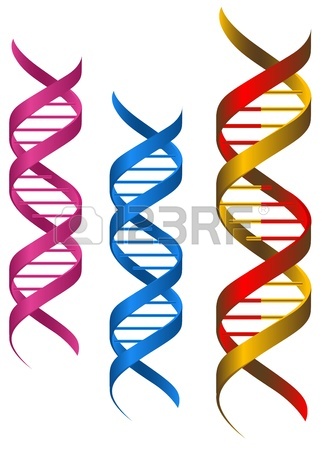 324x450 Dna Helix Isolated On White Background Royalty Free Cliparts