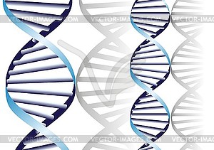 300x211 Dna Helix, Biochemical Background