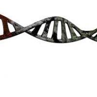 200x200 Double Helix Clipart