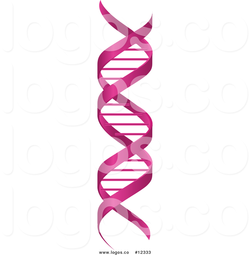 1024x1044 Royalty Free Vector Logo Of A Pink Double Helix Dna Cloning Strand
