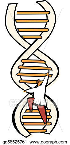 228x470 Stock Illustration