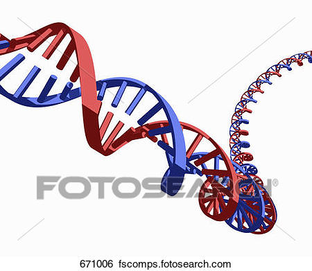 450x391 Stock Illustration Of Dna Strand 671006