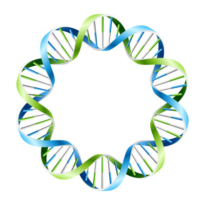 420x420 Cell Dna Chromosome Clip Art Cliparts