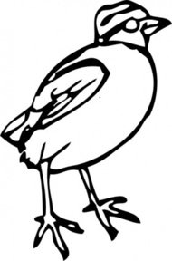 190x288 Bird Outline Clip Art Download 1,000 Clip Arts