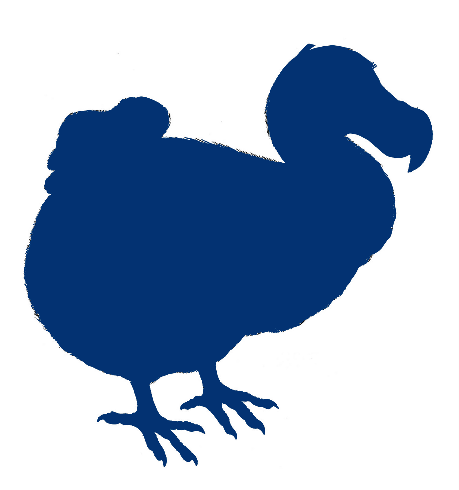 1498x1600 The Blue Dodo. Unique Home Decor, Art, Gifts, Accessories