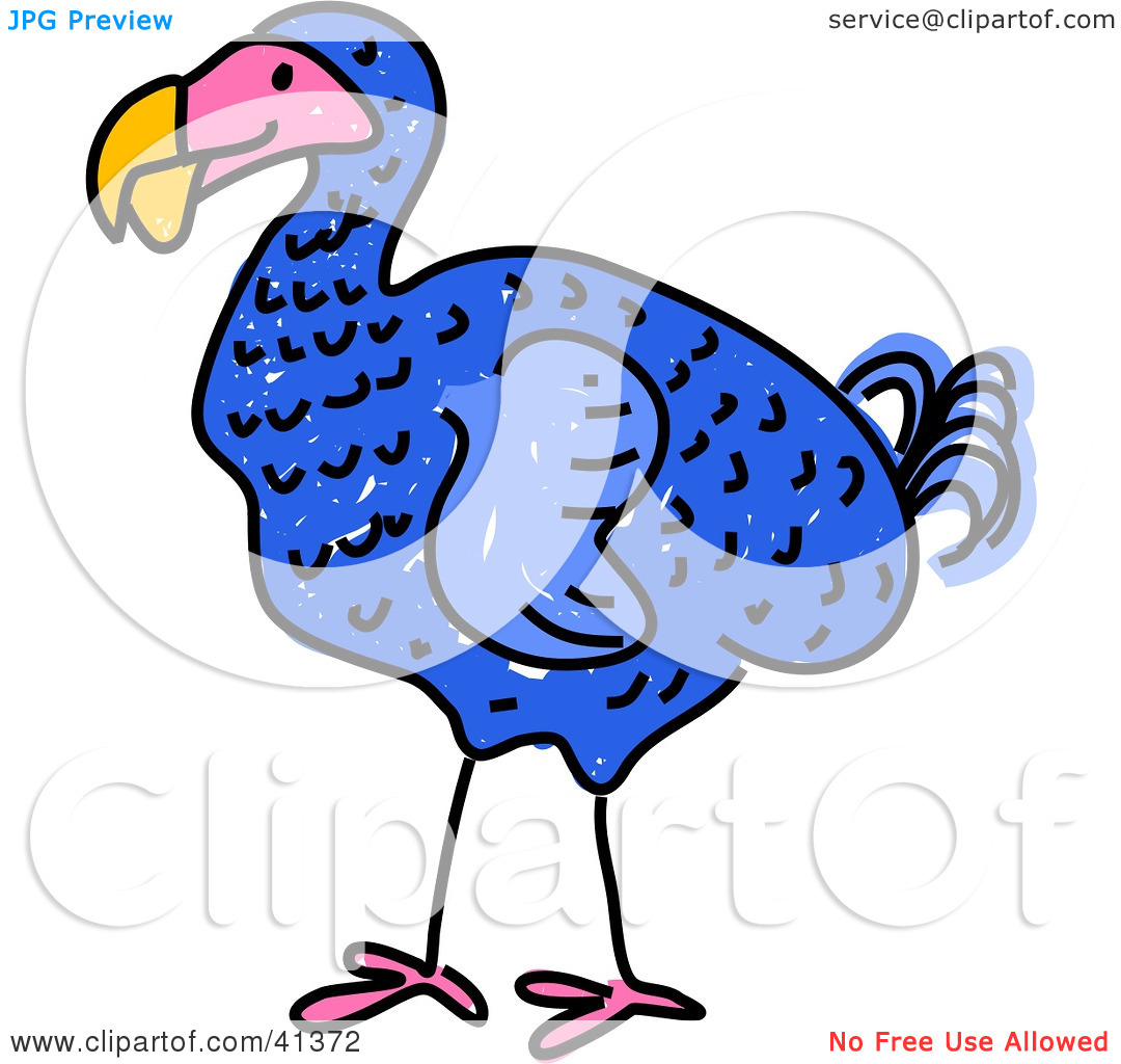 1080x1024 Bird Face Clip Art Clipart Panda