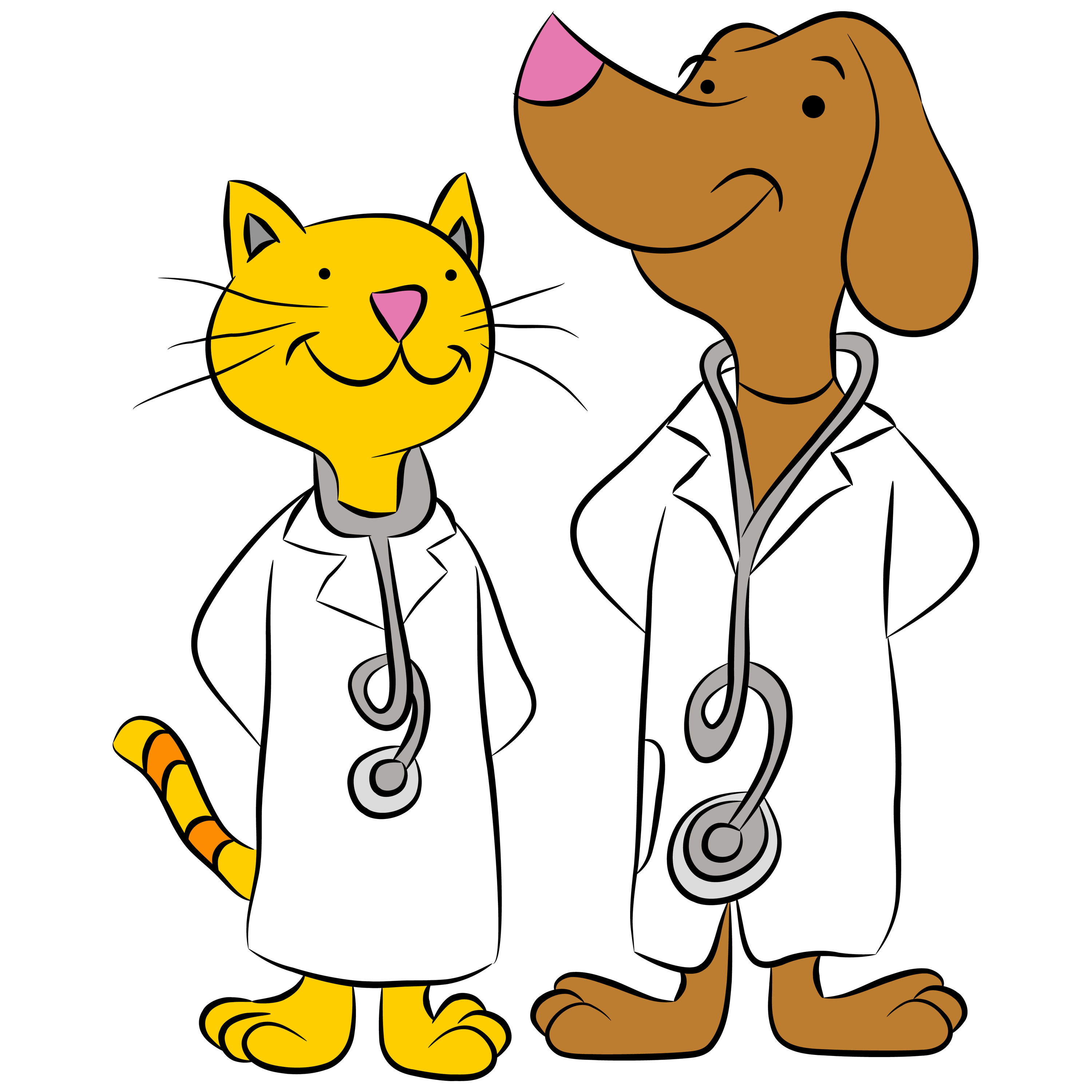 3000x3000 Doctor Dog And Cat Clipart