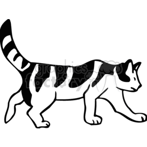 300x300 Royalty Free Black And White Cat With Spots Walking On All Fours