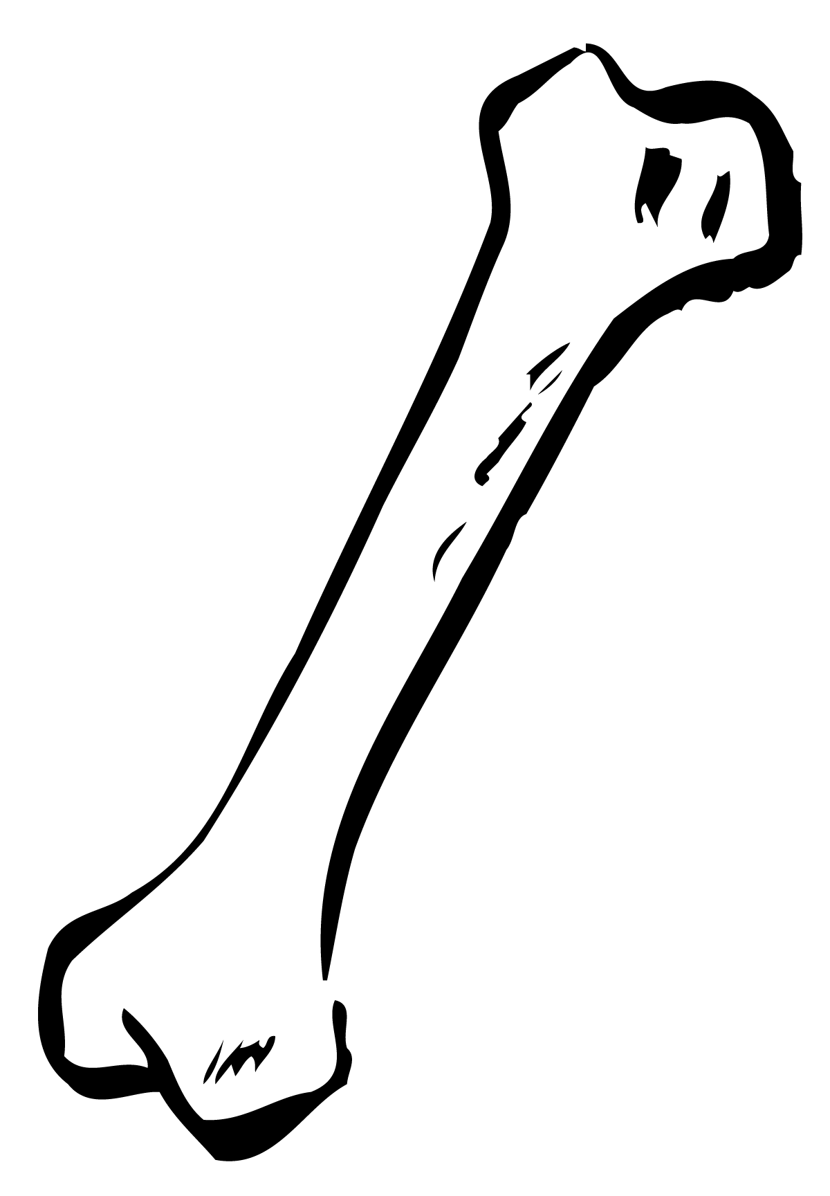 1200x1728 Bone Cliparts Borders 182656