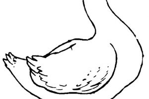 300x200 Free Dog Bone Clipart Clipart Image 21726free Download Png Clip