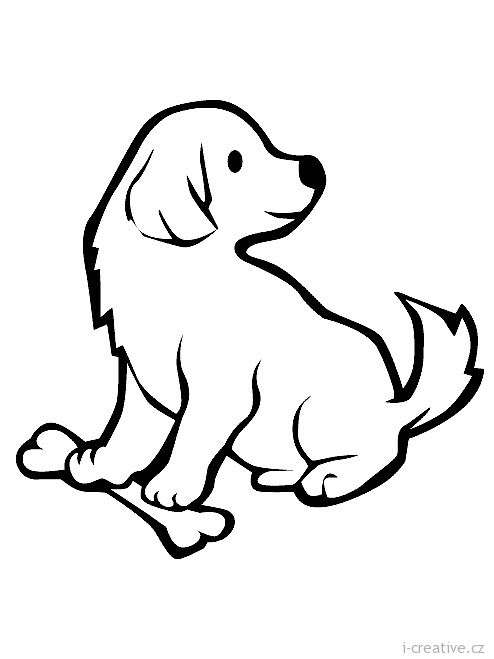 494x659 67 Best Animais Images Famous People, Animais