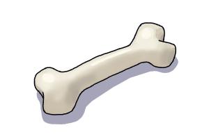 300x200 How To Draw A Dog Bone