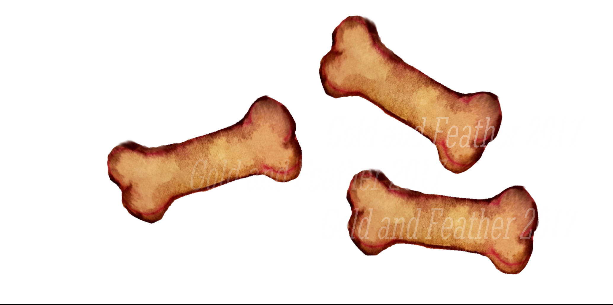 2069x1029 Dog Bone Clipart Watercolour Pet Brown Dog Biscuit Clip Art Image