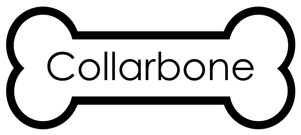 1000x448 Bones Clipart Dog Groomer