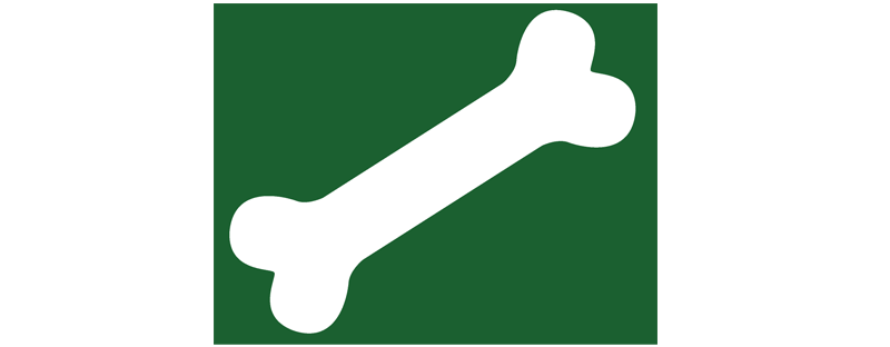 800x312 Puppy Bone Stencil