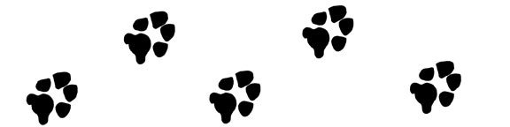576x144 Bones Clipart Dog Paw