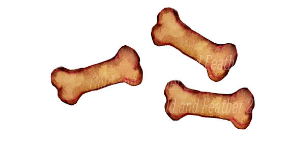 570x283 Dog Bone Clipart Watercolour Pet Brown Dog Biscuit Clip Art Image