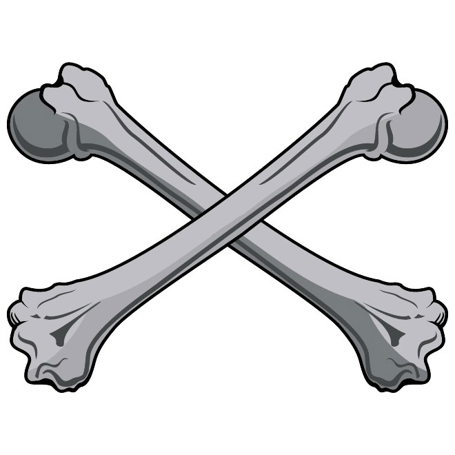 660x660 Bones Clip Art
