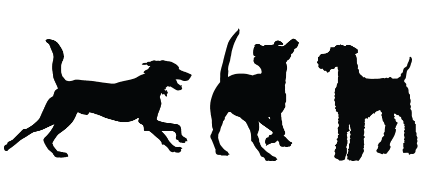 850x340 Bones Clipart Pet Sitting