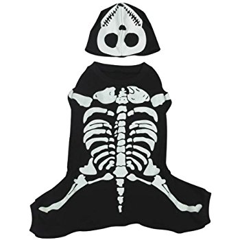 350x350 Casual Canine Cotton Glow Bones Dog Costume, Medium