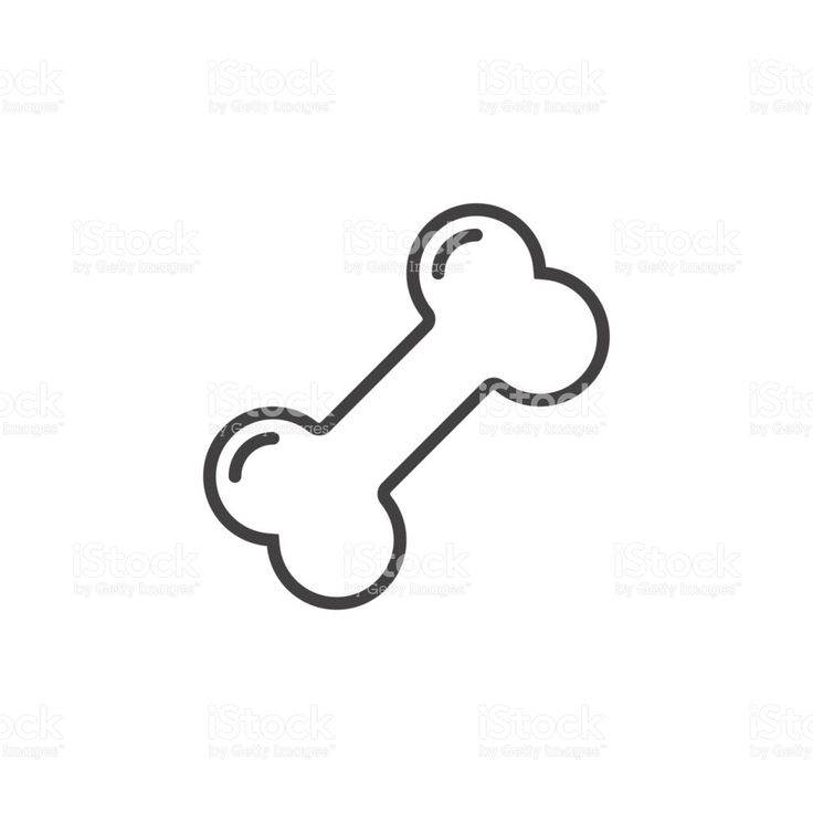 736x736 Les 58 Meilleures Images Du Tableau Dog Treats Sur