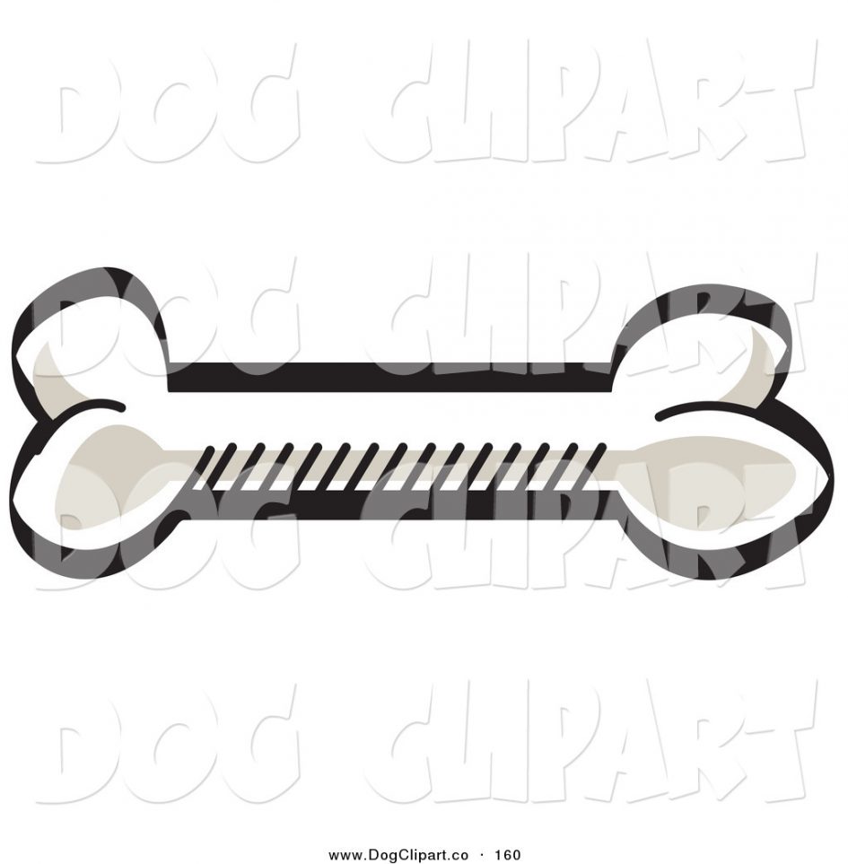 945x963 Furniture. White Dog Bone Rawhide Dog Treat Isolated On White