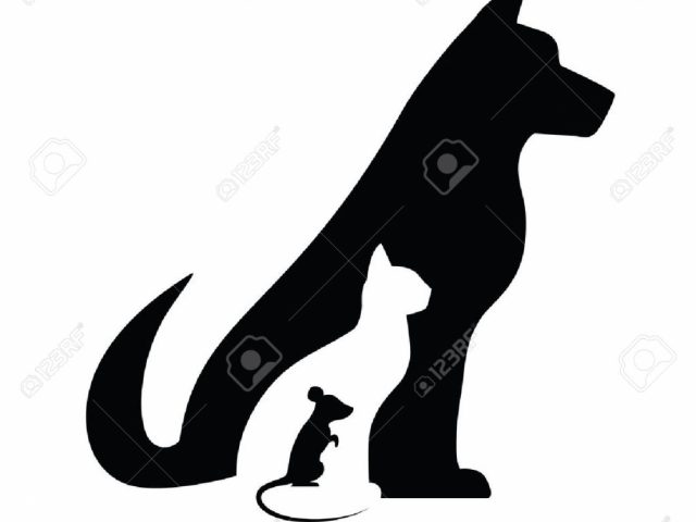 640x480 Dog Cat Silhouette