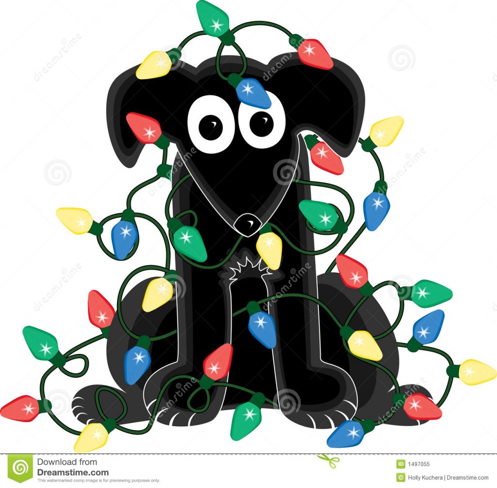 1024x1004 Christmas ~ Christmas Outstanding Tangled Lights Picture Ideas Dog