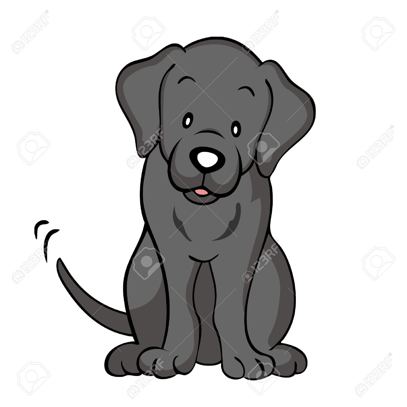 1300x1300 Of Black Lab Dog