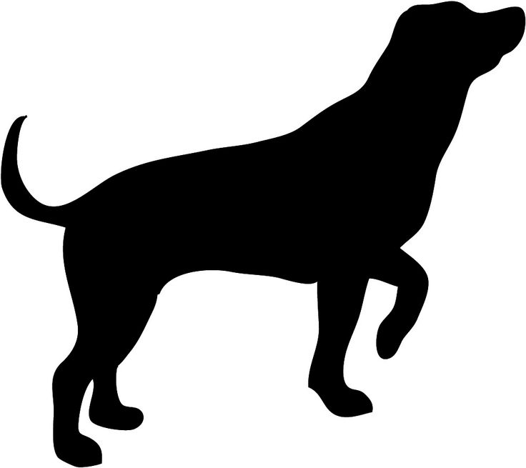 736x655 Pets Clipart Big Dog