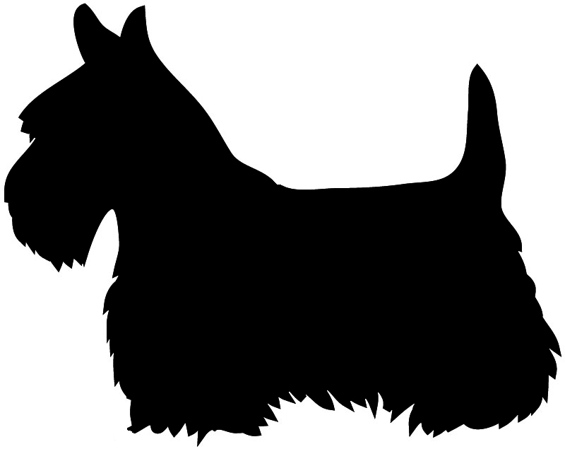 800x635 Scottie Dog Clipart