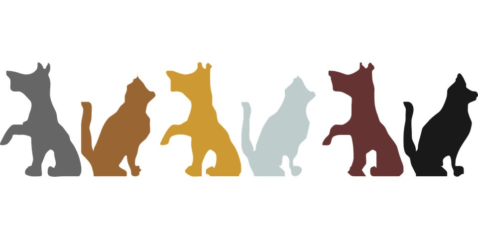 960x480 Dog And Cat Clip Art Many Interesting Cliparts