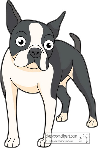 330x500 Dog Clipart Clipart Dogs Boston Terrier