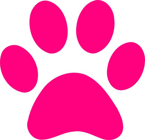 564x543 Pink Print Dog Paw Print Transparent Background Clipart