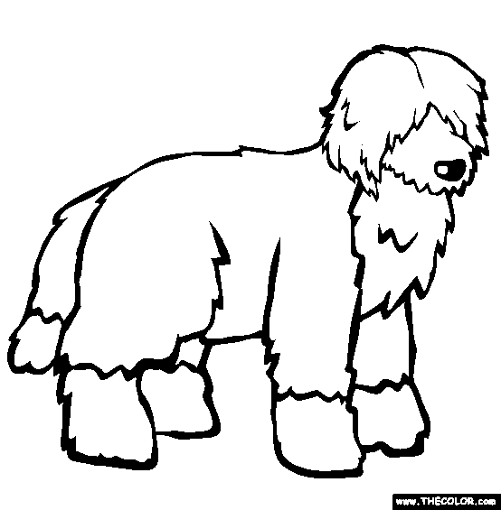 554x565 Interesting Ideas Dog Pictures To Color Dogs Online Coloring Pages